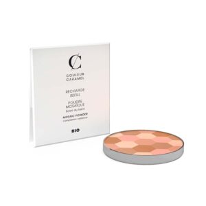 232 Refill Poudre Mosaïque Teint Clair